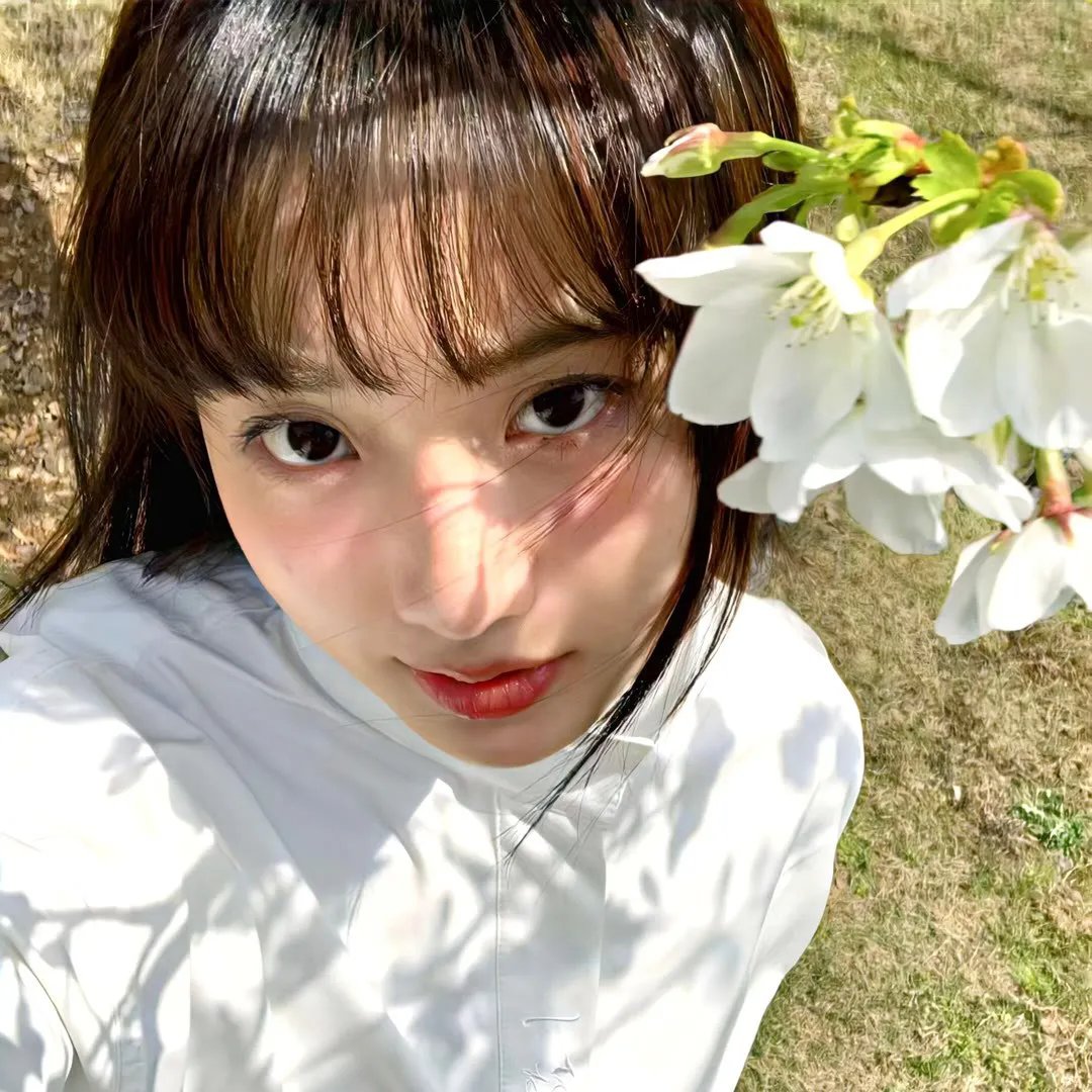 菠萝快车 在线观看